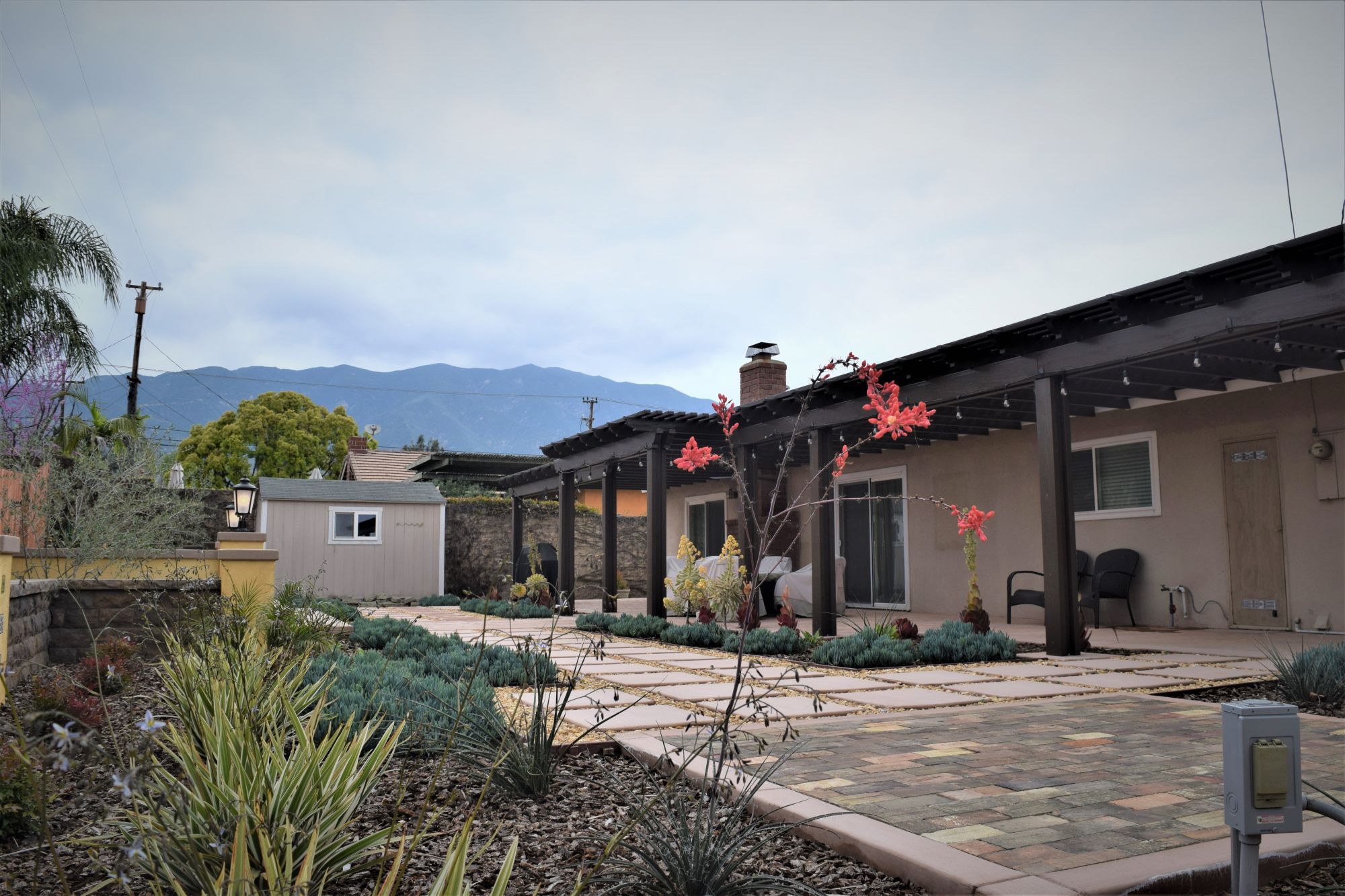 Bear Paw Landscape Construction